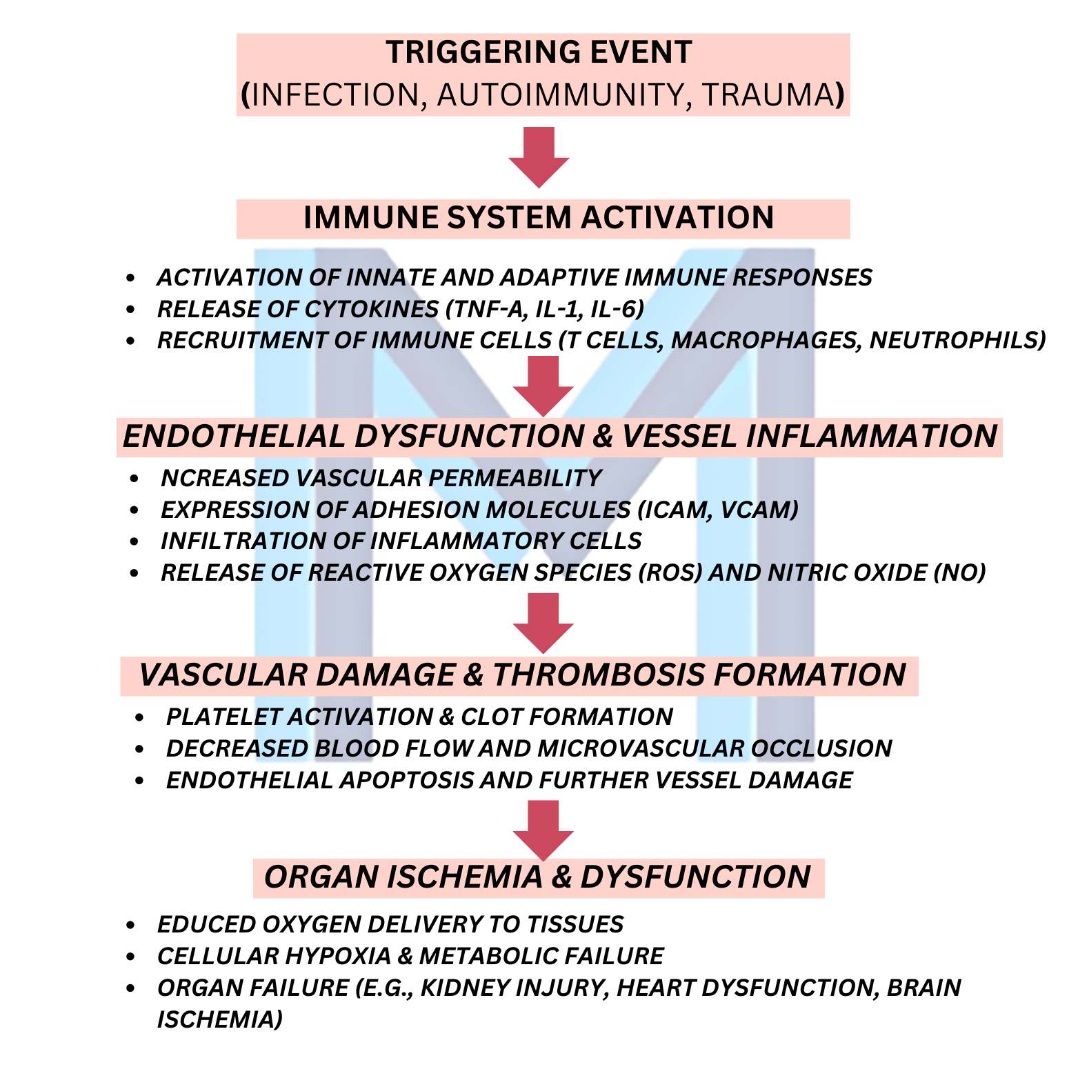 Ischemic Stroke