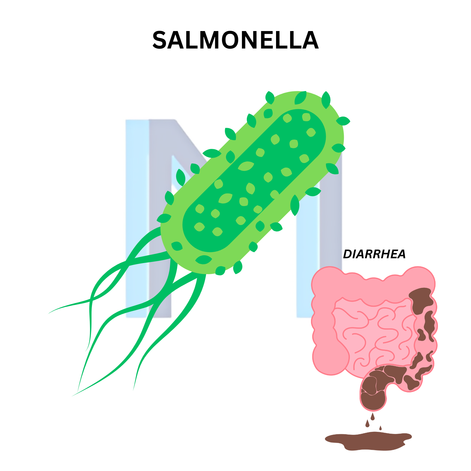 Salmonella Gastroenteritis