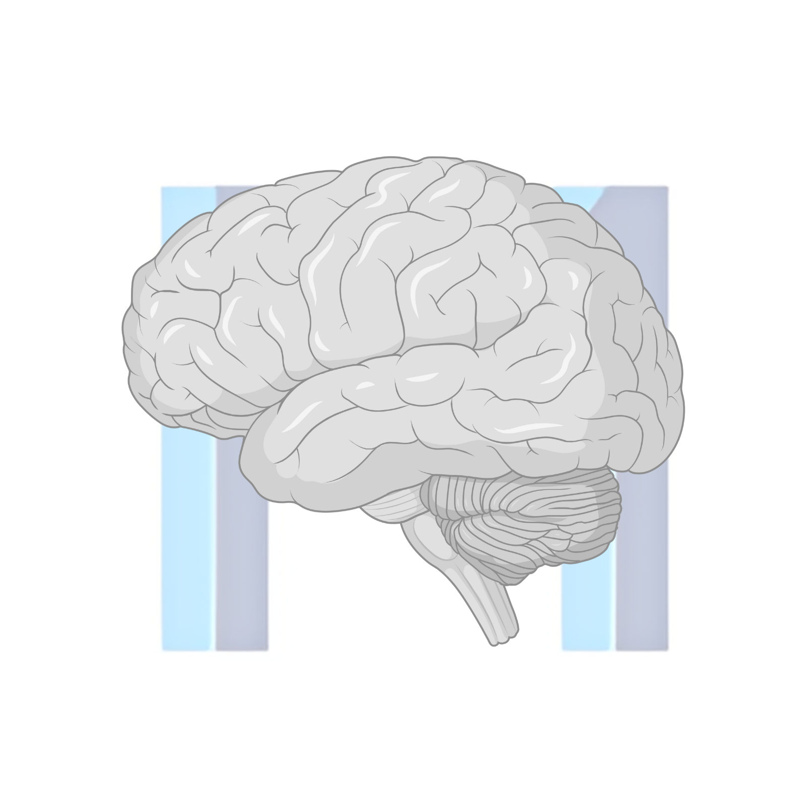 Illustration of the human brain used as a study metaphor